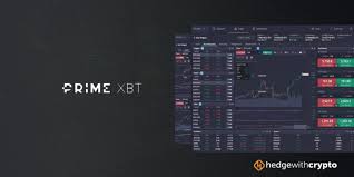 Discover Trading Opportunities with PrimeXBT Brasil Discover Trading Opportunities with PrimeXBT Brasil