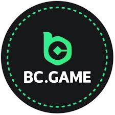 Exploring the Innovative World of BC Co 1